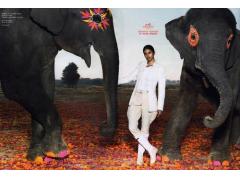 与印度大象共舞-爱马仕广告欣赏