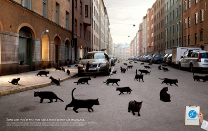 If(汽车保险)广告欣赏：黑猫