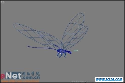 3DMAX精彩实例设计两只花瓣上的美丽蝴蝶(3)