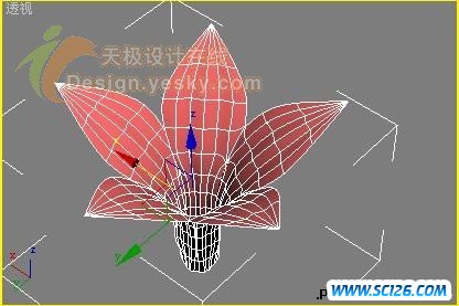 一步一步学用3DsMax制作立体鲜花