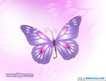 ps打造一只漂亮的紫色卡通蝴蝶