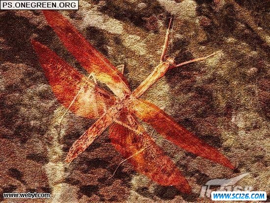 Photoshop CS3制作一款独特的蜻蜓古化石