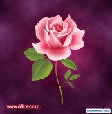 ps打造一朵粉红色的卡通玫瑰花