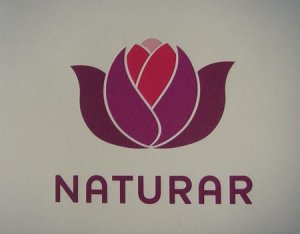 NATURAR公司精彩品牌VI设计欣赏