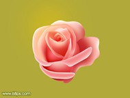 ps教你制作一朵粉嫩的玫瑰花