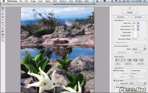 Photoshop CS6的新功能液态工具优化_新客网