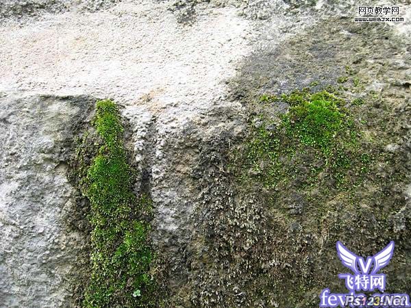 PS制作真实的带苔藓的破损的石头文字-网页教学网