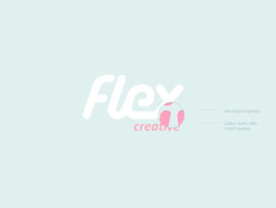 流线感VI设计 FLEX品牌形象设计