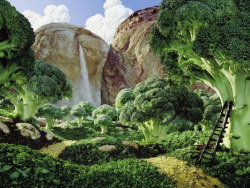 精采的〝食物景观〞艺术作品—Carl Warner