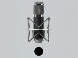 Microphones : 品牌标识欣赏