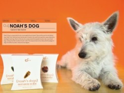NOAH’S DOG宠物产品包装