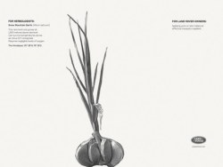 路虎2011创意平面广告-Luminous Millipede夜光千足虫