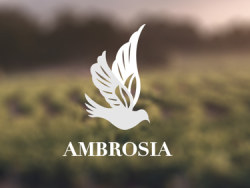 Ambrosia :品牌包装设计