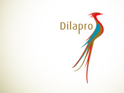 辰鸟整合_dilapro 品牌设计