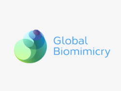 Global Biomimicry品牌设计--涵象品牌分享
