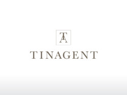 tinagent摄影机构VI欣赏