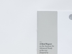 《IAS Report》简洁画册