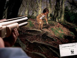 经典WWF公益广告精选