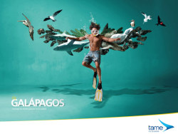 Tame Ecuador(航空公司)系列创意广告