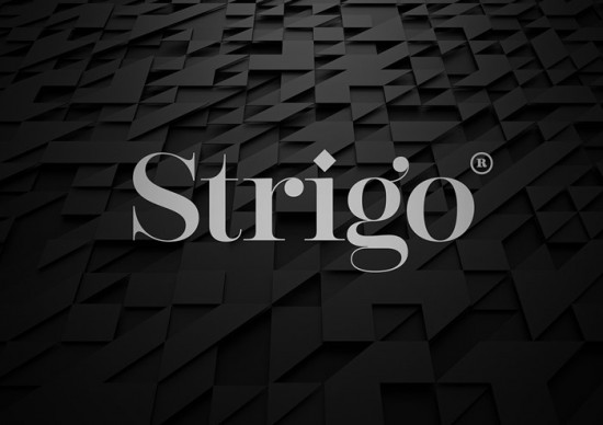 Strigo服装品牌形象设计