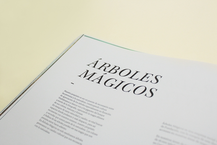 Arboles Magicos精美画册设计