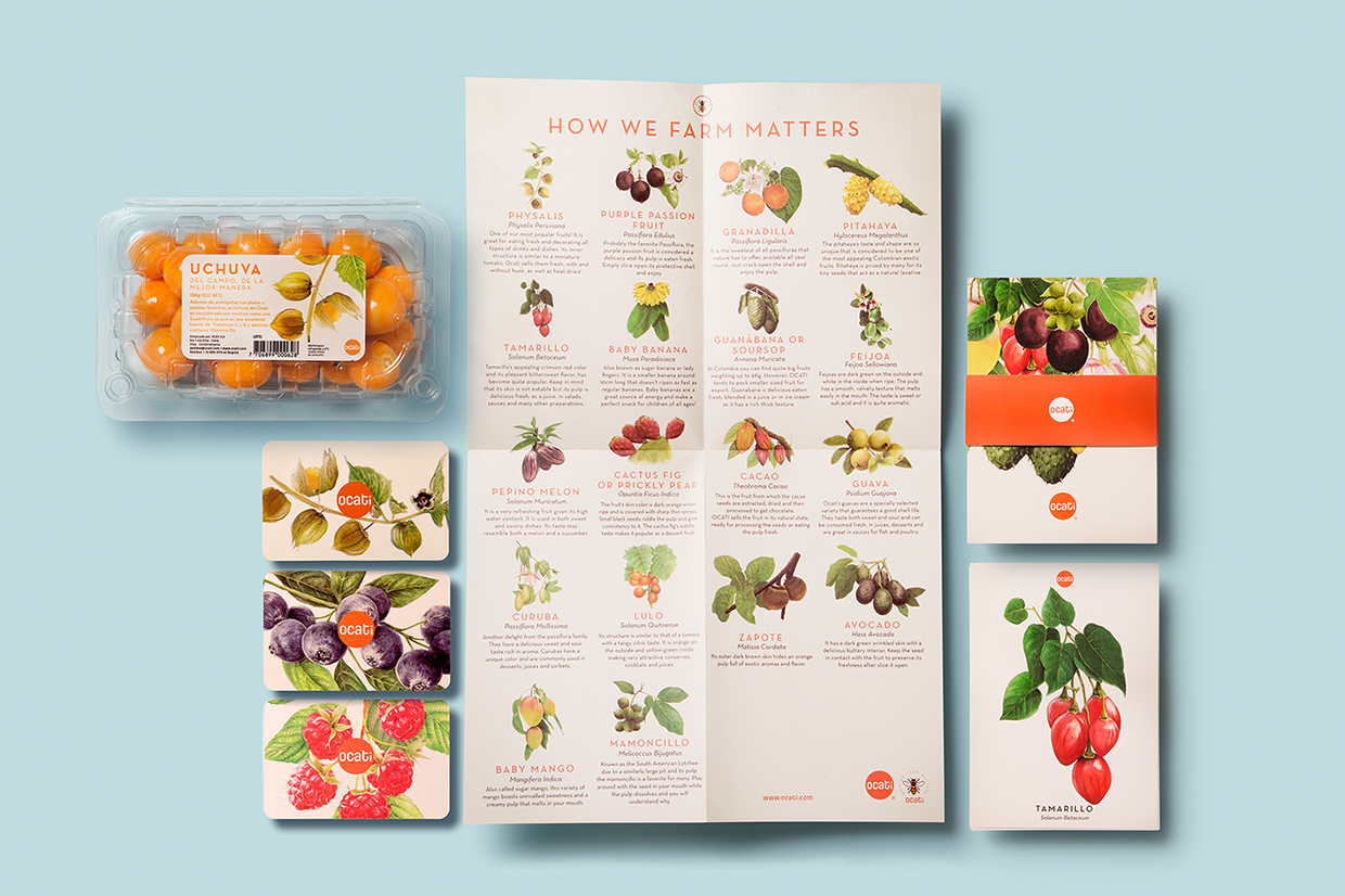 Ocati水果品牌和包装设计