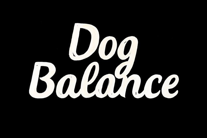 Dog Balance狗粮包装设计